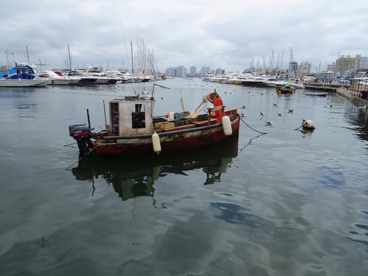 Los Sargos Punta del Este Ngoại thất bức ảnh