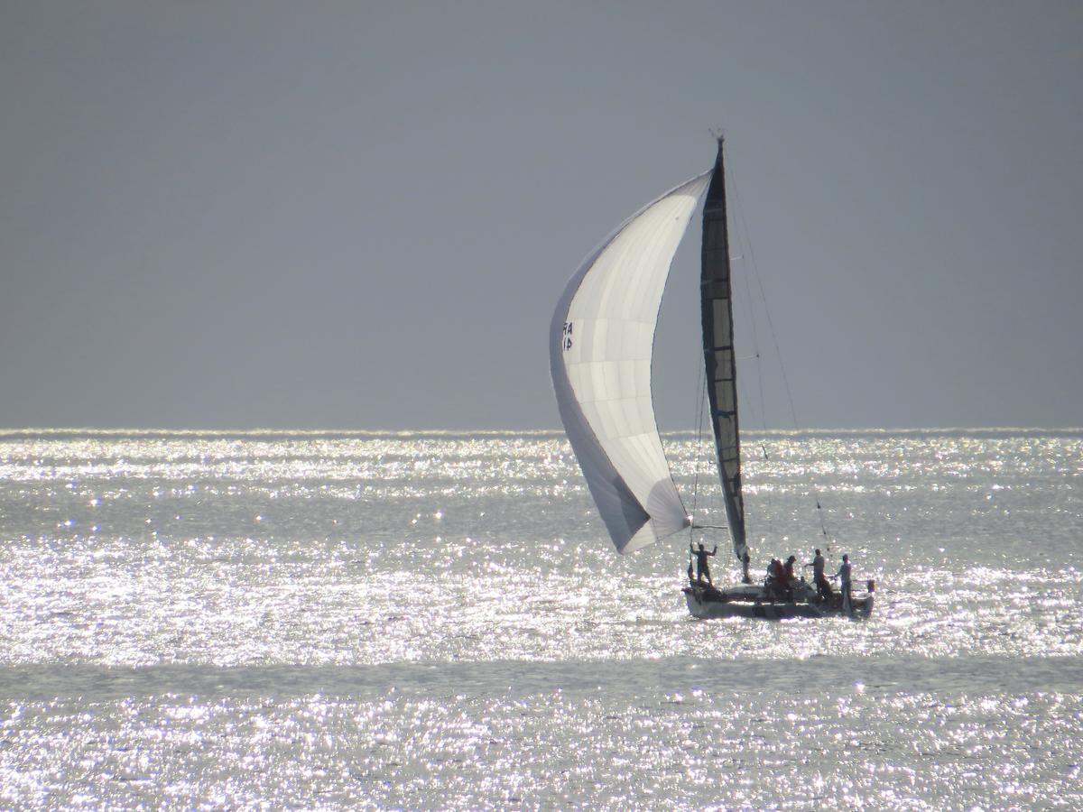 Los Sargos Punta del Este Ngoại thất bức ảnh